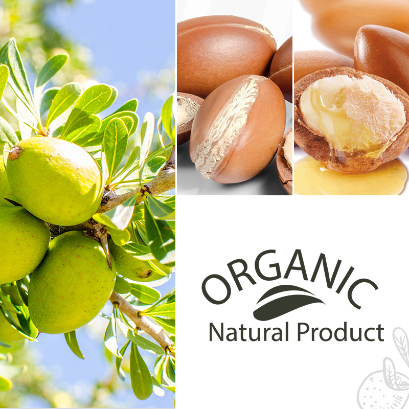 PURC Morocco Argan Oil Smoothi - Hair Care Olaplex incelemesi ve fiyatı